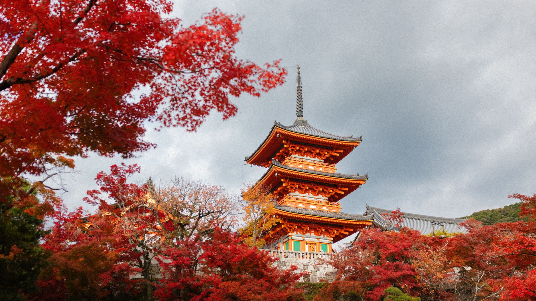 Traditional Japanese wooden pagoda in Kyoto surrounded by autumn foliage